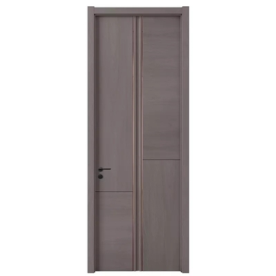 내부 방 방수 욕실 문 현대 나무 패널 디자인