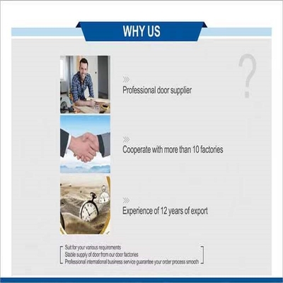 집을 위한 ISO9001 CE MDF 검은 내무 무장한 앞문
